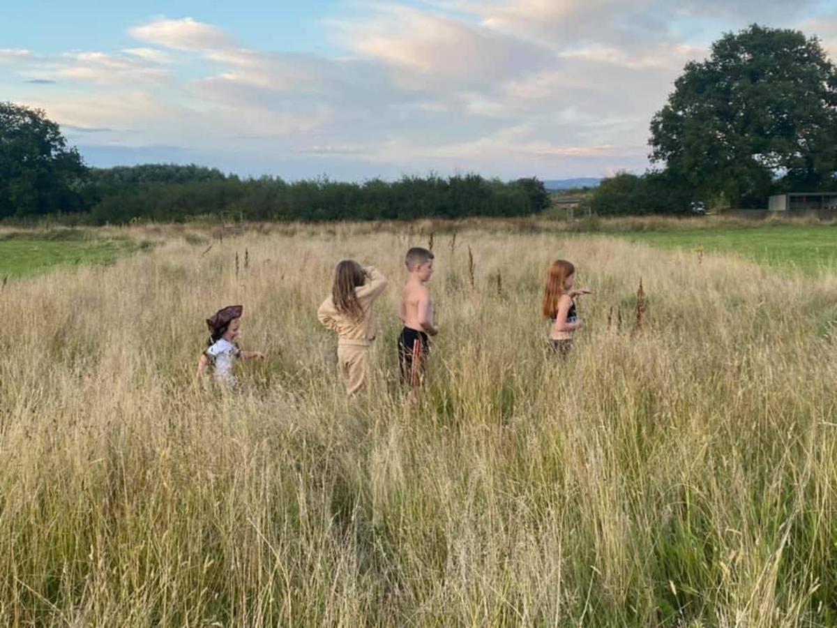 Arcadia Safari Tent In Private 5 Acre Field Wrexham Exteriör bild